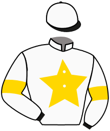 casaque portée par Bails Mlle L. jockey du cheval de course BOTICELLI, information pmu ZETURF