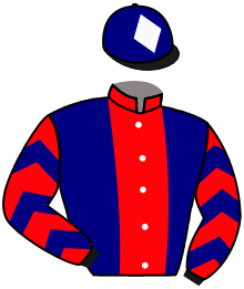 casaque portée par Rousset Y. jockey du cheval de course SAPHO, information pmu ZETURF