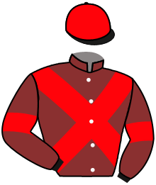 casaque portée par Pasquier S. jockey du cheval de course MY OWN WAY, information pmu ZETURF