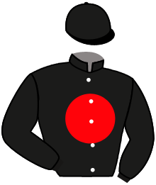 casaque portée par Zuliani A. jockey du cheval de course SOL AND RIVER, information pmu ZETURF