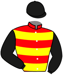casaque portée par Lotout Mr P. jockey du cheval de course BIG FIVE, information pmu ZETURF