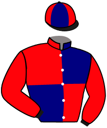 casaque portée par Bonnet E. jockey du cheval de course TERRE DE GANE, information pmu ZETURF