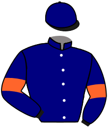 casaque portée par Zuliani L. jockey du cheval de course DIVINE DU BERLAIS, information pmu ZETURF