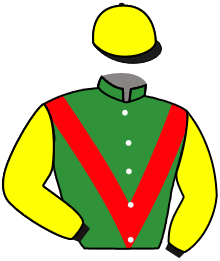 casaque portée par Wolff L. jockey du cheval de course VISIONARY DREAMER, information pmu ZETURF
