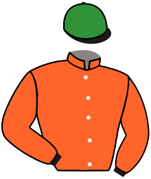 casaque portée par Flandrin B. jockey du cheval de course ANALYTICS, information pmu ZETURF