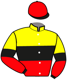 casaque portée par Seidl M. jockey du cheval de course DUCKSFLYTOGETHER, information pmu ZETURF