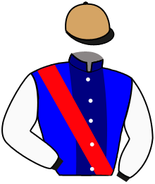 casaque portée par Valle Skar Mlle F. jockey du cheval de course KOUTSOUNAKOS, information pmu ZETURF