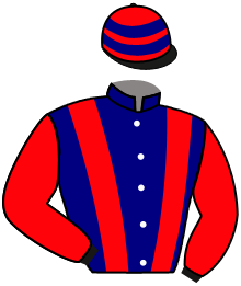 casaque portée par Claudic J. jockey du cheval de course SPEED FOR FUN, information pmu ZETURF