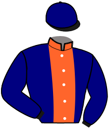 casaque portée par Heslouin Cha. jockey du cheval de course LE VOYOU D'ALMO, information pmu ZETURF