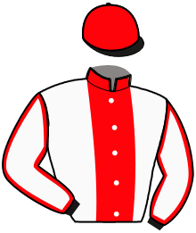 casaque portée par Auber Mme Flo. jockey du cheval de course INKERMAN DE PLAY, information pmu ZETURF