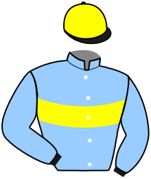 casaque portée par Smeulders C. jockey du cheval de course LANCE ROQUETTE, information pmu ZETURF