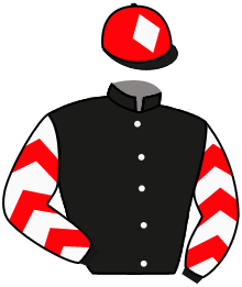 casaque portée par Lecomte D. jockey du cheval de course JACASSE CAMARA, information pmu ZETURF