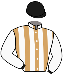 casaque portée par Bourgeais A. jockey du cheval de course SPRINGBOKS, information pmu ZETURF
