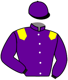 casaque portée par Bachelot T. jockey du cheval de course NOCTAMBULE, information pmu ZETURF