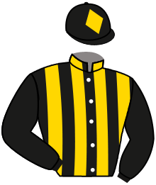 casaque portée par Guyon M. jockey du cheval de course TIMES WARRIOR, information pmu ZETURF