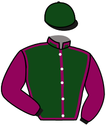 casaque portée par Boisseau L. jockey du cheval de course ETEL DU NINIAN, information pmu ZETURF