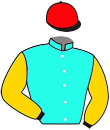 casaque portée par Seidl M. jockey du cheval de course WELTBESTE, information pmu ZETURF