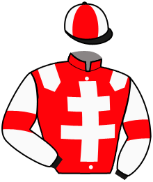 casaque portée par Piton Lou. jockey du cheval de course IDEAL DU HOCQUET, information pmu ZETURF