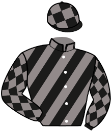 casaque portée par Hemery R. jockey du cheval de course LUTIN DU VAUTOUR, information pmu ZETURF