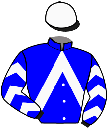 casaque portée par Lebourgeois Y. jockey du cheval de course LARGO DE LA BESSE, information pmu ZETURF