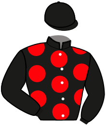 casaque portée par Lebourgeois Y. jockey du cheval de course LIPSKA, information pmu ZETURF