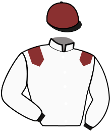 casaque portée par Lebourgeois Y. jockey du cheval de course MARC AURELE, information pmu ZETURF