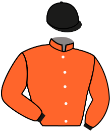 casaque portée par Mendizabal I. jockey du cheval de course EARLY LIFE, information pmu ZETURF