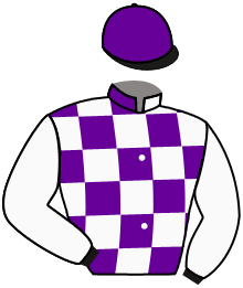casaque portée par Mouesan H. jockey du cheval de course VIKING CITY, information pmu ZETURF