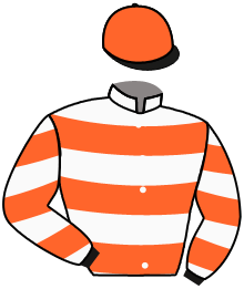 casaque portée par Andrieux T. jockey du cheval de course LEO WOOD, information pmu ZETURF