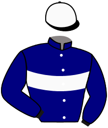 casaque portée par Blainville T. jockey du cheval de course KARMIX, information pmu ZETURF