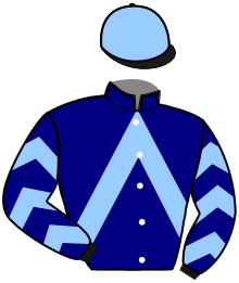 casaque portée par Mutel M. M. jockey du cheval de course GAROU DE BOURGOGNE, information pmu ZETURF