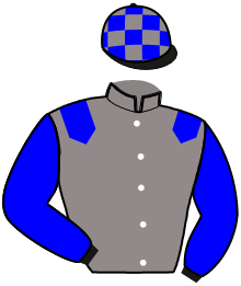 casaque portée par Perrot Ant. jockey du cheval de course JO RIDEUR, information pmu ZETURF