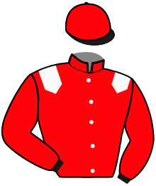 casaque portée par Abrivard M. jockey du cheval de course JORLIC TEJY, information pmu ZETURF