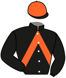 casaque portée par Mathias-Maisonnette Mme Tam. jockey du cheval de course GAMIN DU SABLIER, information pmu ZETURF