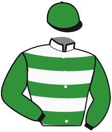 casaque portée par Ploquin Pau. Ph. jockey du cheval de course L'ARTISTE ZEN, information pmu ZETURF