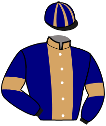 casaque portée par Voisin A. jockey du cheval de course MALTESE KNIGHT, information pmu ZETURF
