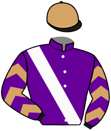 casaque portée par Molins Mme Amb. jockey du cheval de course PENSE A MOI, information pmu ZETURF