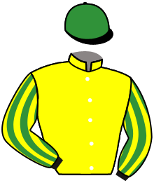 casaque portée par Trullier T. jockey du cheval de course BUFFALO WOMAN, information pmu ZETURF