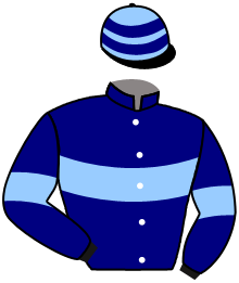 casaque portée par Bachelot T. jockey du cheval de course CADYNA, information pmu ZETURF