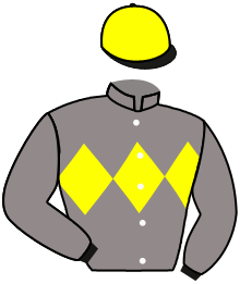 casaque portée par Meury G. jockey du cheval de course GOLDEN VALE, information pmu ZETURF