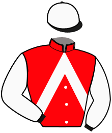 casaque portée par Acker Y. jockey du cheval de course HIDAO DE LA GOUTTE, information pmu ZETURF