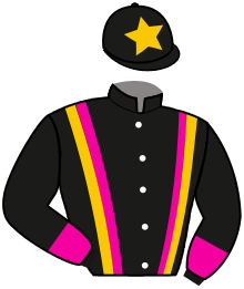 casaque portée par Huygens Mlle H. jockey du cheval de course KEYTOTHEHILL, information pmu ZETURF