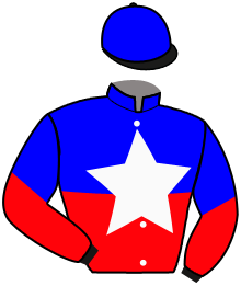 casaque portée par Raffin E. jockey du cheval de course LORD DE LA FUTAIE, information pmu ZETURF