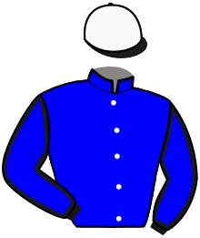 casaque portée par Lamare T. jockey du cheval de course KRISTAL DU TRIO, information pmu ZETURF