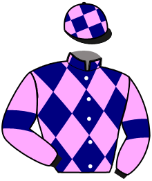 casaque portée par Magrex Léo jockey du cheval de course GO COLIN GO, information pmu ZETURF