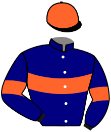 casaque portée par Jouin O. jockey du cheval de course GRAND ONCLE, information pmu ZETURF