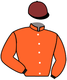 casaque portée par Zuliani L. jockey du cheval de course PRESTINO, information pmu ZETURF