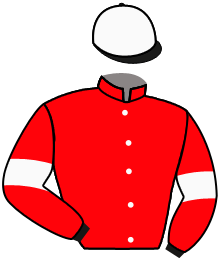 casaque portée par Pasquier S. jockey du cheval de course SAMOILOVA, information pmu ZETURF