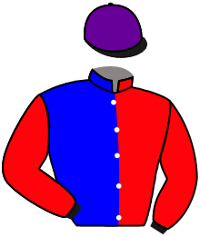casaque portée par Santiago Mlle D. jockey du cheval de course TERREMANA, information pmu ZETURF