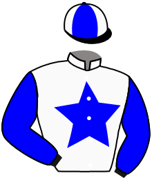casaque portée par Hardouin E. jockey du cheval de course AMANDINES, information pmu ZETURF